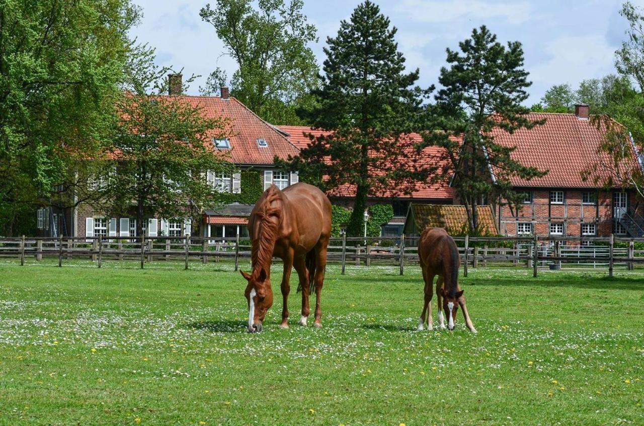Ferienwohnungen Georgenbruch Everswinkel 외부 사진